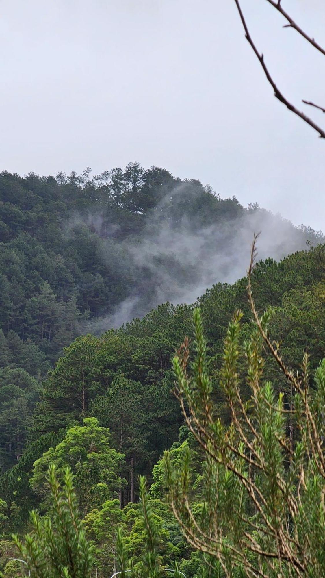 Vuon Nha Cui Homestay Dalat Luaran gambar