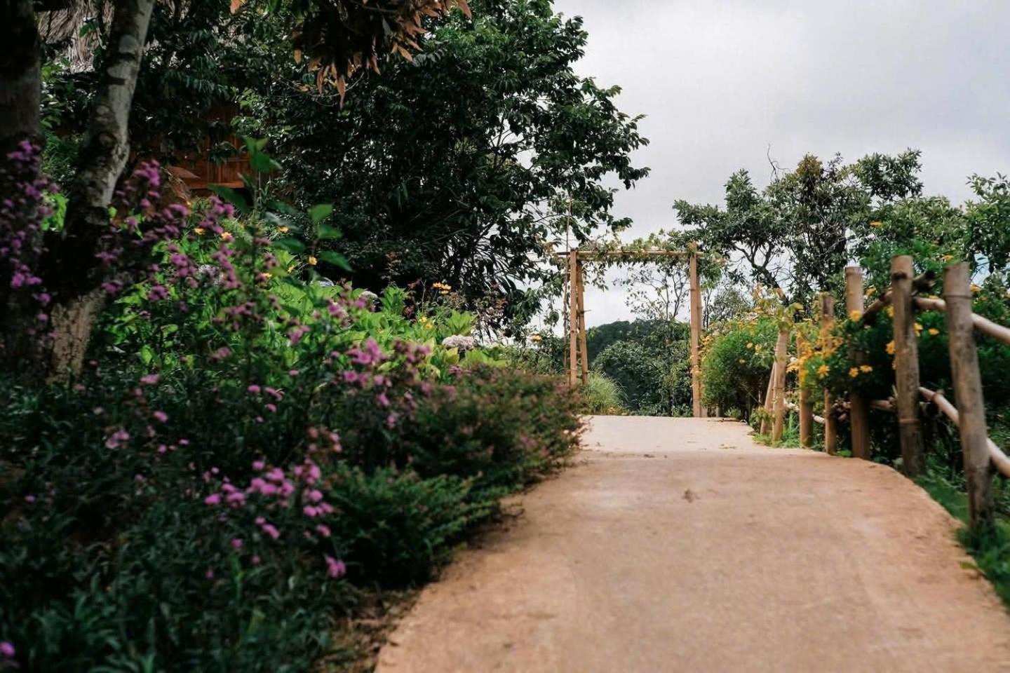 Vuon Nha Cui Homestay Dalat Luaran gambar